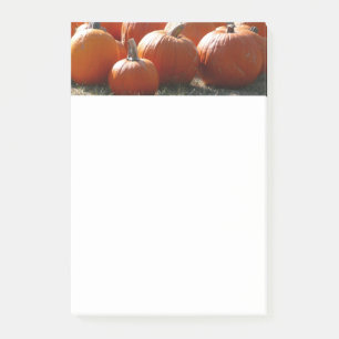 Pumpkins Photo for Fall, Halloween or Thanksgiving Post-it Notes