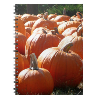 Pumpkins Photo for Fall, Halloween or Thanksgiving Spiral Notebook