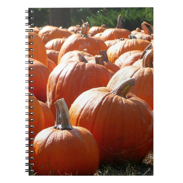 Pumpkins Photo for Fall, Halloween or Thanksgiving Spiral Notebook (Front)