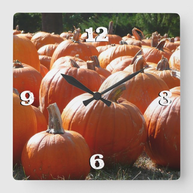 Pumpkins Photo for Fall, Halloween or Thanksgiving Square Wall Clock (Front)