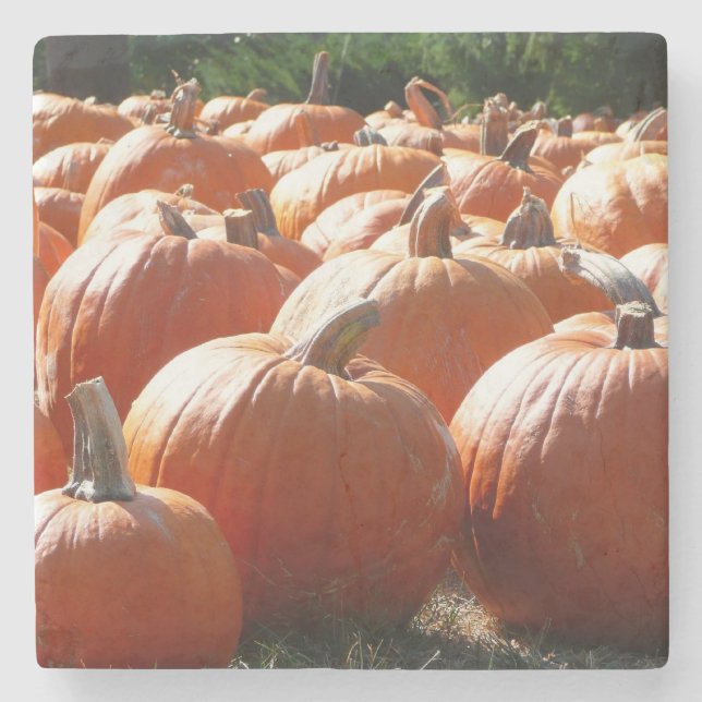Pumpkins Photo for Fall, Halloween or Thanksgiving Stone Coaster (Front)
