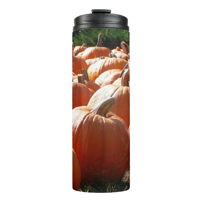 Pumpkins Photo for Fall, Halloween or Thanksgiving Thermal Tumbler (Front)