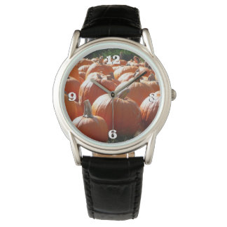 Pumpkins Photo for Fall, Halloween or Thanksgiving Watch