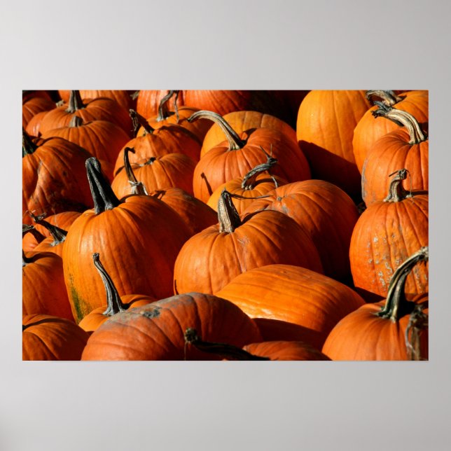 Pumpkins Poster (Front)