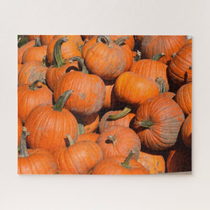 Pumpkins, Pumpkins, Pumpkins - 16x20 - 520 pcs. Jigsaw Puzzle