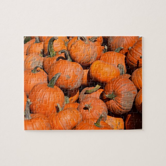 Pumpkins, Pumpkins, Pumpkins - 8x10 - 110 pcs. Jigsaw Puzzle (Horizontal)