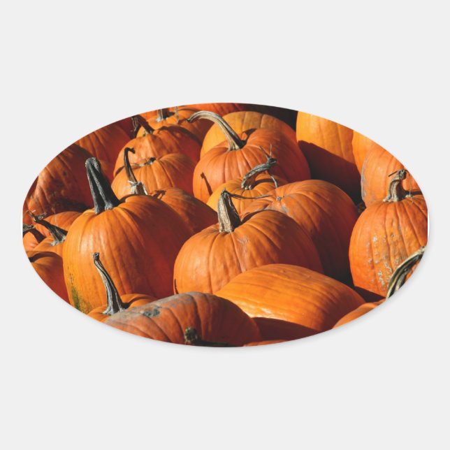 Pumpkins Sticker (Front)