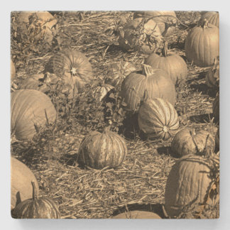 Pumpkins Stone Coaster