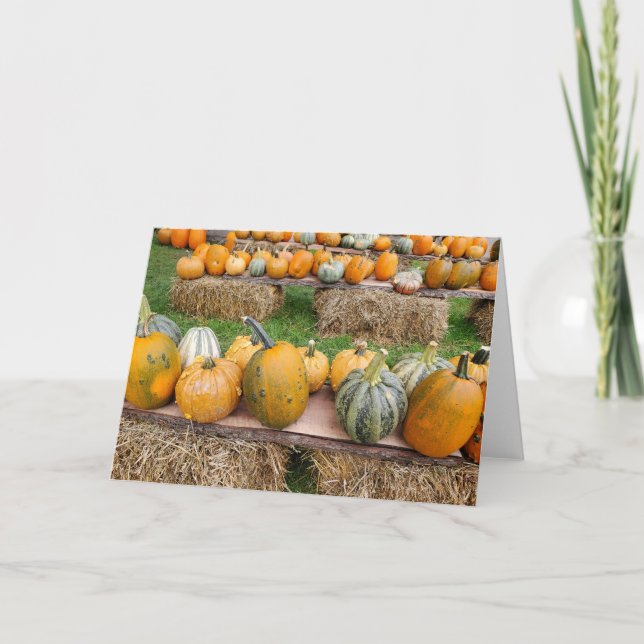Pumpkins Thank You Card (Front)