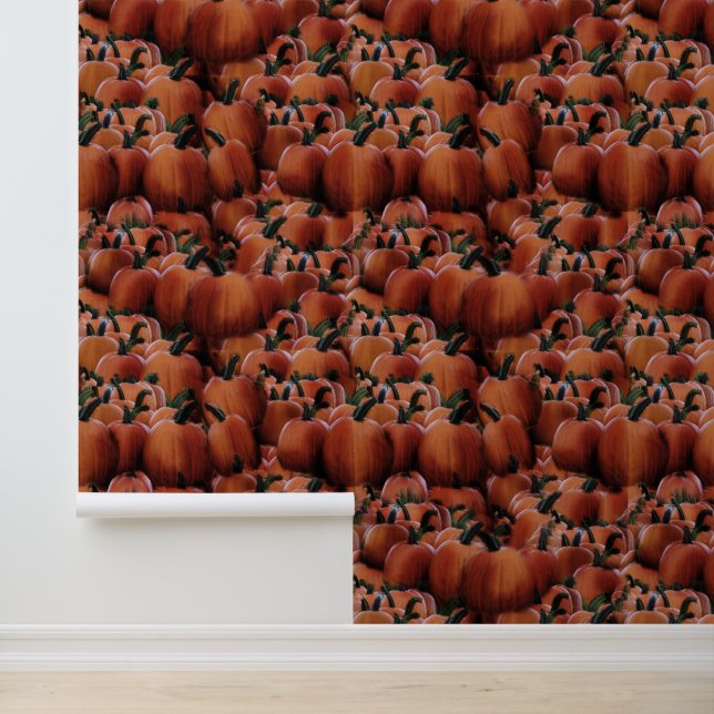 Pumpkins Wallpaper (Application)