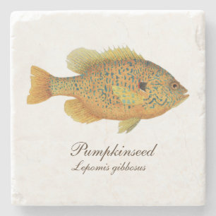 Pumpkinseed Sunfish Coaster