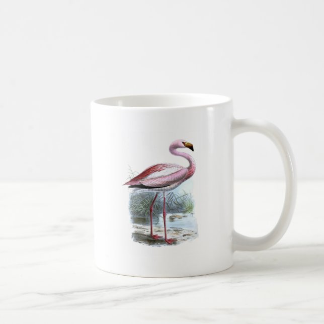 Puna Flamingo Vintage Illustration Coffee Mug (Right)