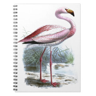 Puna Flamingo Vintage Illustration Spiral Notebook