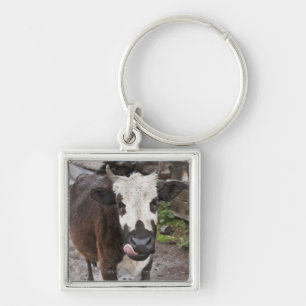 punakha district bhutan key ring
