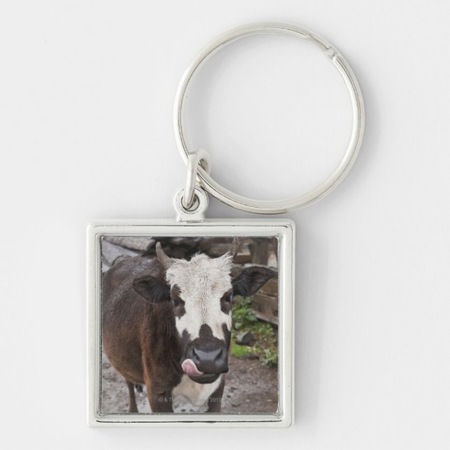 punakha district bhutan key ring (Front)