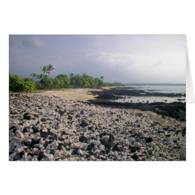 Punalu'u Black Sand Beach (Front Horizontal)