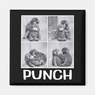 Punch baby monkey meme magnet
