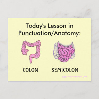 Punctuation/Anatomy Lesson postcard