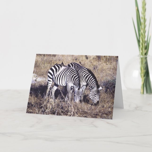 Pundamilia (Zebra) Card (Front)