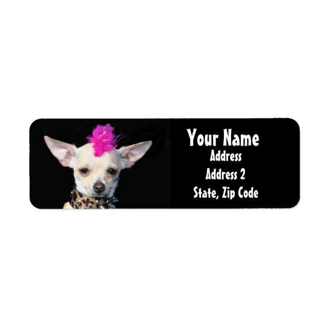 Punk Chihuahua Address Labels (Front)