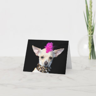Punk Chihuahua Notecard