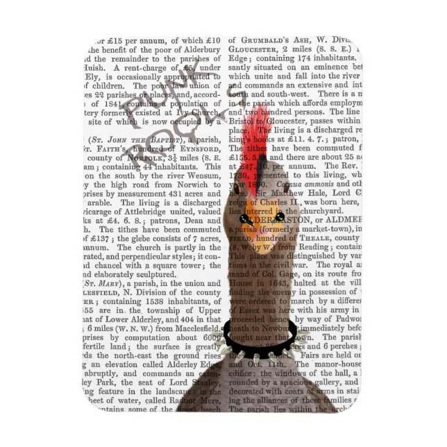 Punk Rock Goose Magnet (Vertical)