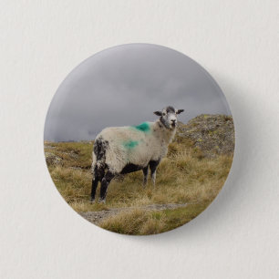 Punk sheep 6 cm round badge