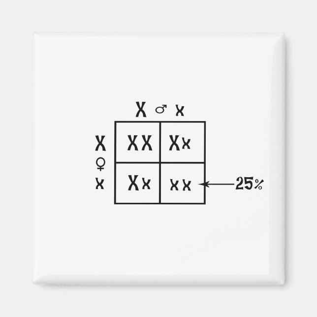Punnett Square Magnet (Front)