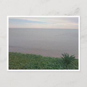 Punta Bianca (Italy) Postcard