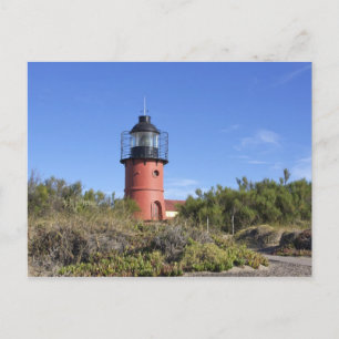 Punta Delgada, Valdes Peninsula, Chubut Postcard