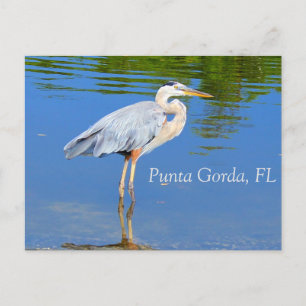 Punta Gorda, FL Postcard