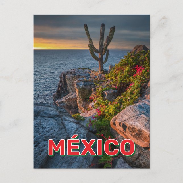 Punta Lobos, Baja California, México Postcard (Front)