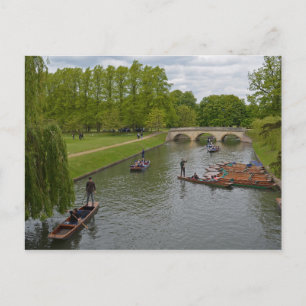 Punting On The River Cam Postcard