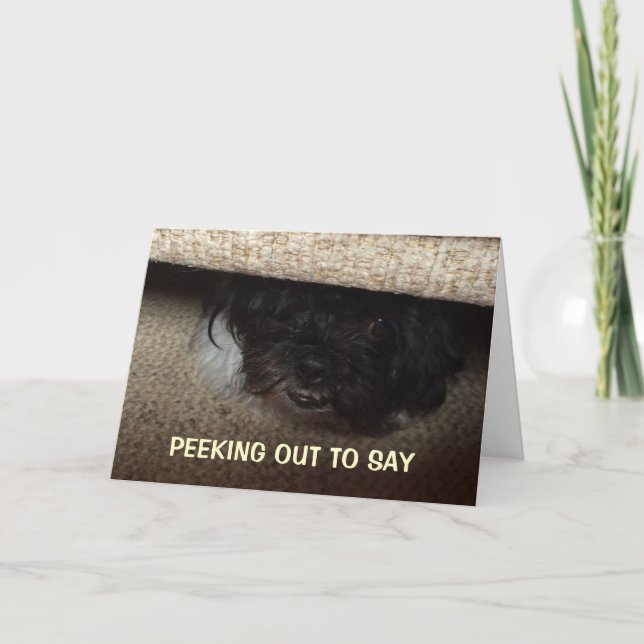 PUP IS PEEKING OUT TO SAY HAPPY "40TH" BIRTHDAY CARD (Front)