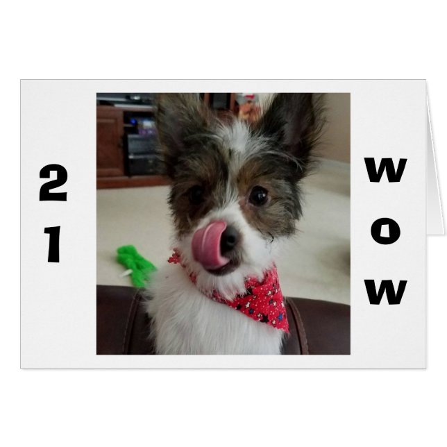 PUP IS SO HAPPY FOR YOU TURNING "21" (Front Horizontal)