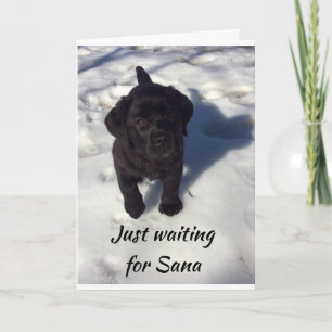 *PUP IS WAITING FOR SANTA* MERRY CHRISTMAS CARD