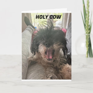 PUP JUST CAN'T BELIEVE IT! U R "40" CARD