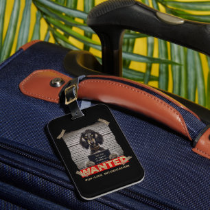 Pup-Lick Intoxication: The Elegant Afghan Hound's Luggage Tag