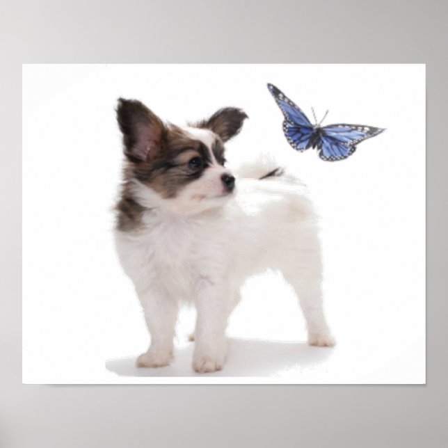 PUP WITH BUTTERFLY POSTER (Front)