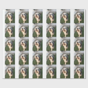 Pupper Socks Wrapping Paper