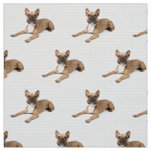 Puppie Fabric