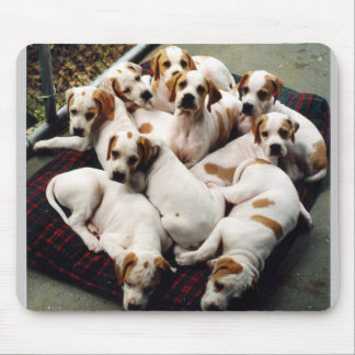puppies1 mouse pad