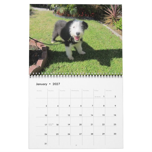 Puppies 2012 June change Calendar (Jan 2027)