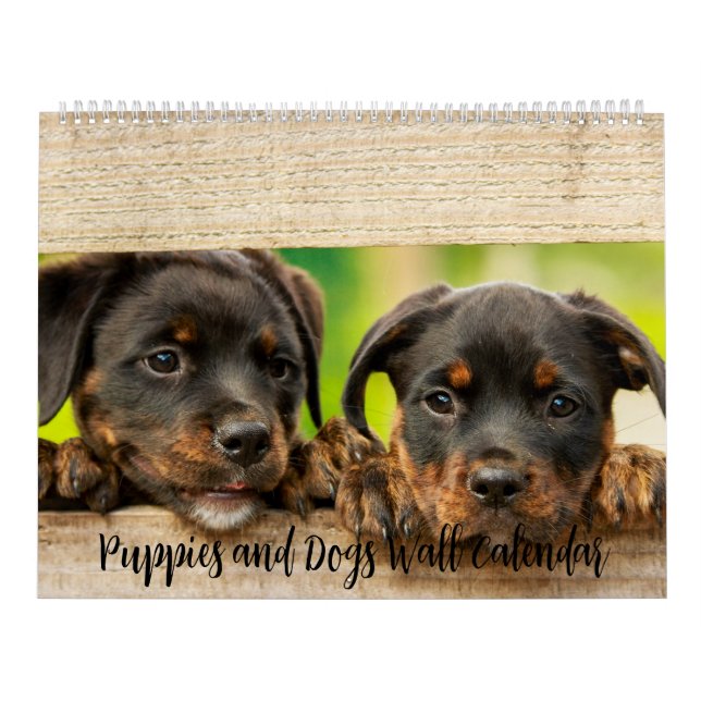 Puppies and Dogs Wall Calendar (Cover)