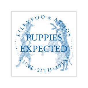 Puppies expected Great Dane  Self-inking Stamp