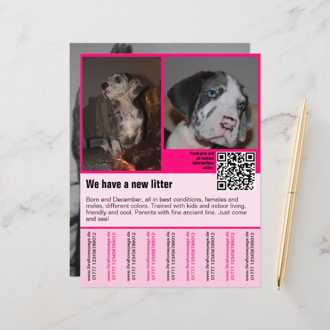 puppies for sale flyer template QR code (Front/Back In Situ)
