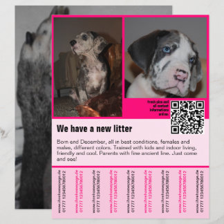 puppies for sale flyer template QR code