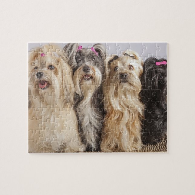 Puppies Game Puzzle (Horizontal)