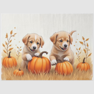Puppies In Pumpkin Field Tissue Paper