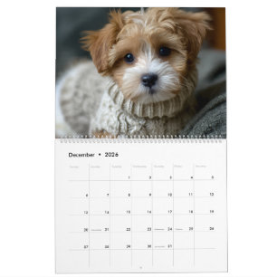 Puppies in Sweaters Calendar